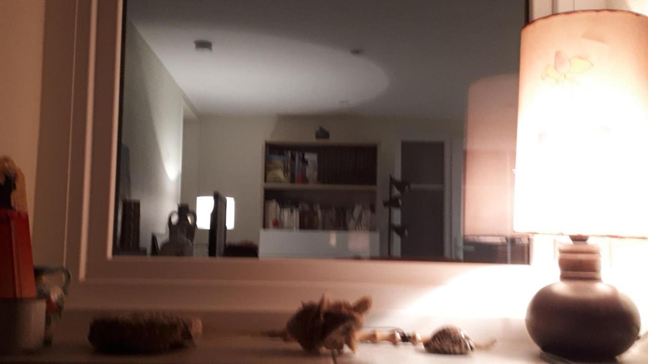 Les Ecureuils Bourguignons Apartman Montchanin Kültér fotó